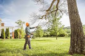 Best Lot and Land Clearing  in Edgefield, SC