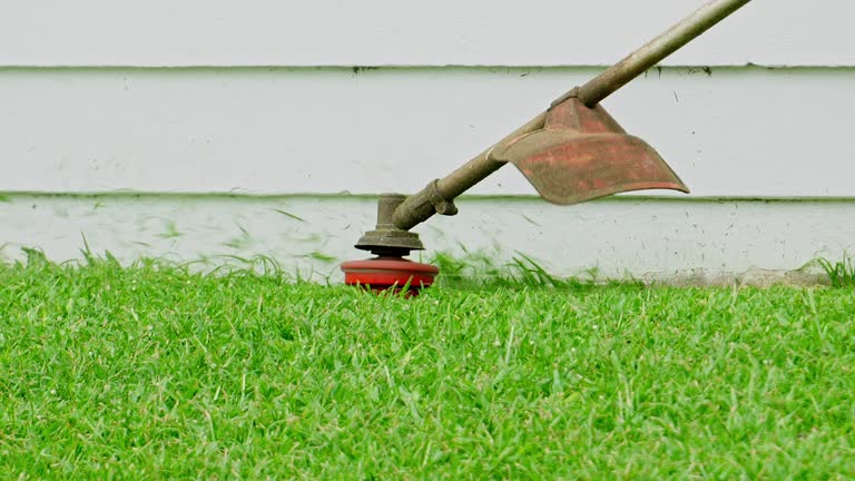Best Tree Maintenance Programs  in Edgefield, SC